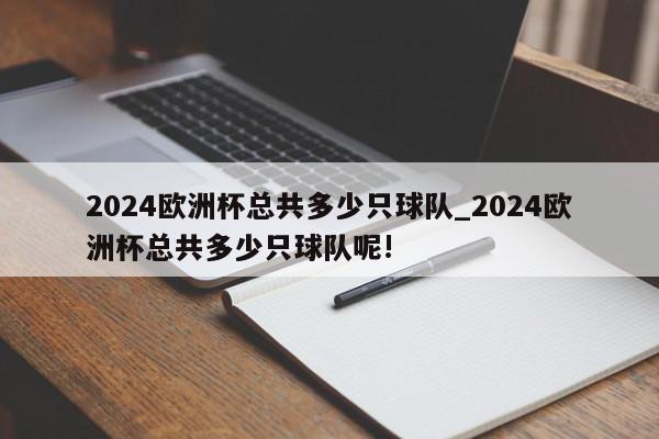 2024欧洲杯总共多少只球队_2024欧洲杯总共多少只球队呢!